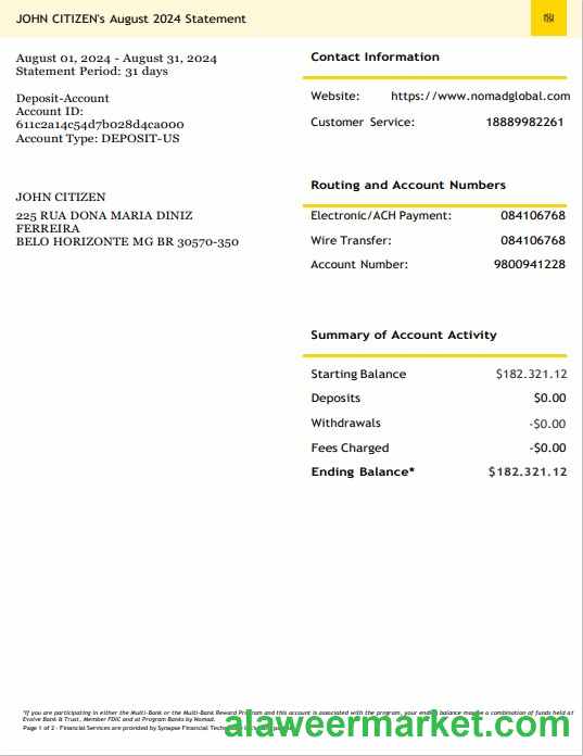 USA Nomad Global bank statement 3 - 6 months Word and PDF example